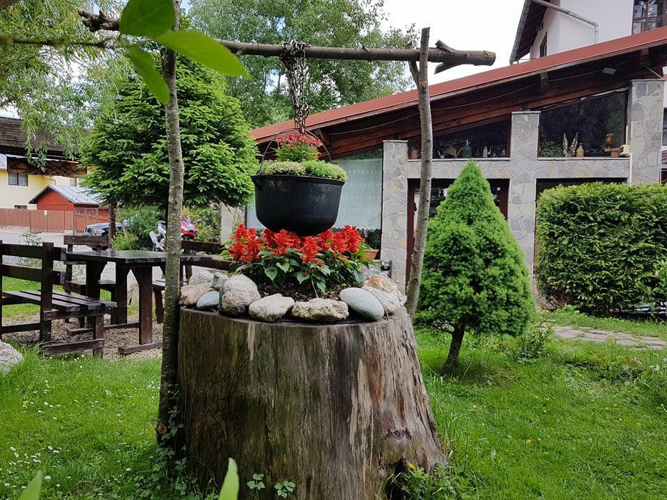 Pensiunea Liziera Szászbuda Kültér fotó